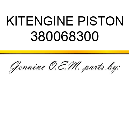 KIT,ENGINE PISTON 380068300