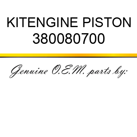 KIT,ENGINE PISTON 380080700