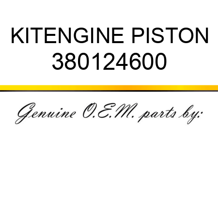 KIT,ENGINE PISTON 380124600