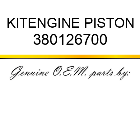 KIT,ENGINE PISTON 380126700