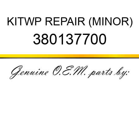 KIT,WP REPAIR (MINOR) 380137700