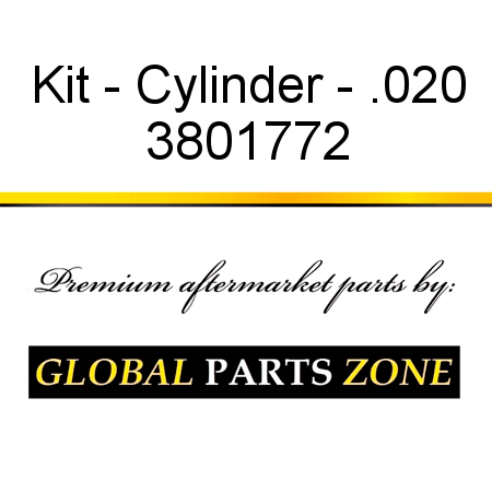 Kit - Cylinder - .020 3801772