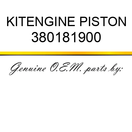 KIT,ENGINE PISTON 380181900