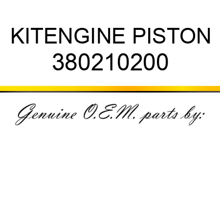 KIT,ENGINE PISTON 380210200