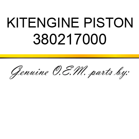 KIT,ENGINE PISTON 380217000