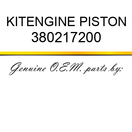 KIT,ENGINE PISTON 380217200