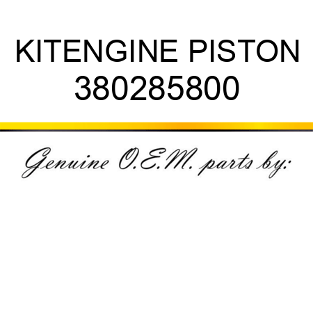 KIT,ENGINE PISTON 380285800