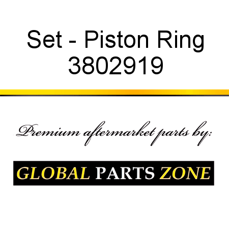 Set - Piston Ring 3802919