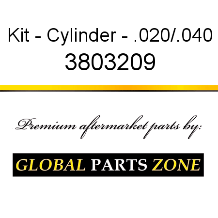 Kit - Cylinder - .020/.040 3803209