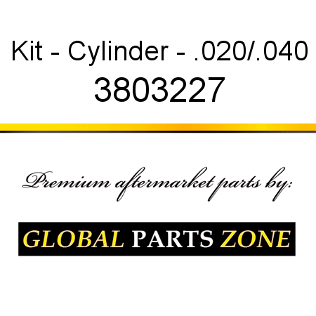 Kit - Cylinder - .020/.040 3803227