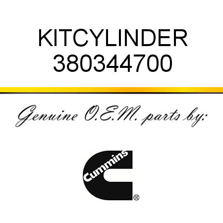 KIT,CYLINDER 380344700