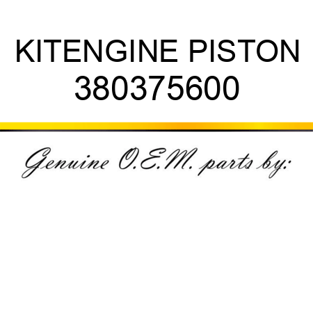 KIT,ENGINE PISTON 380375600