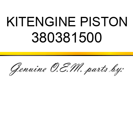 KIT,ENGINE PISTON 380381500