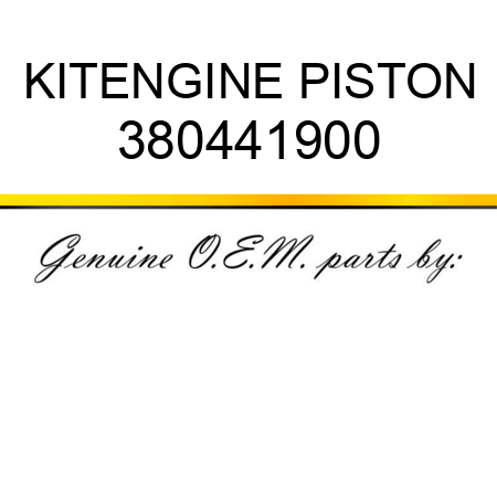 KIT,ENGINE PISTON 380441900