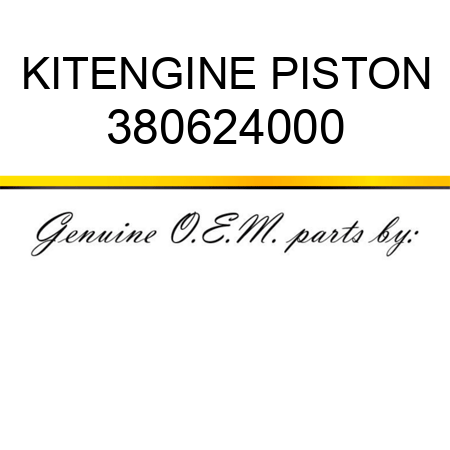 KIT,ENGINE PISTON 380624000