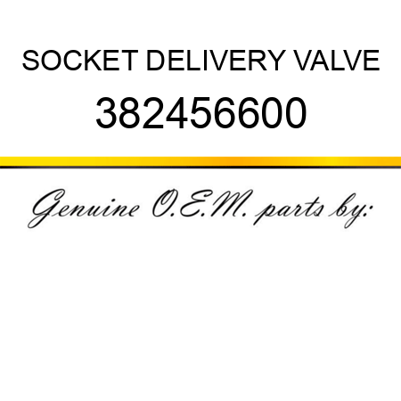 SOCKET, DELIVERY VALVE 382456600