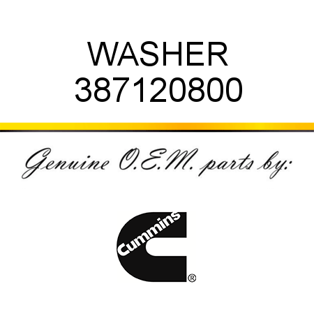 WASHER 387120800