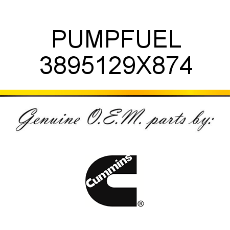 PUMP,FUEL 3895129X874