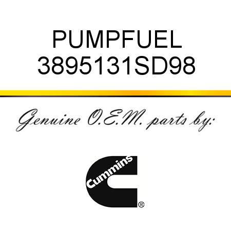 PUMP,FUEL 3895131SD98