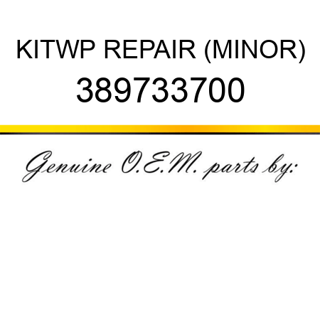 KIT,WP REPAIR (MINOR) 389733700