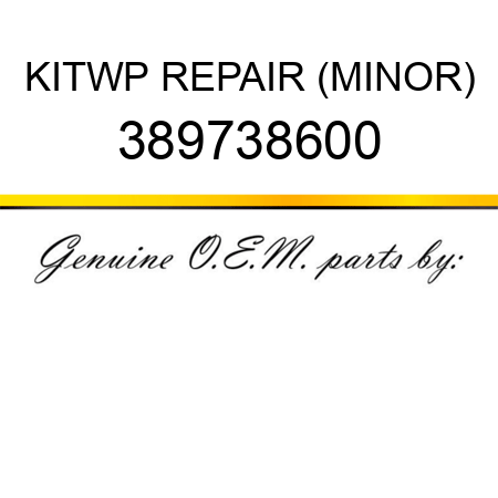 KIT,WP REPAIR (MINOR) 389738600