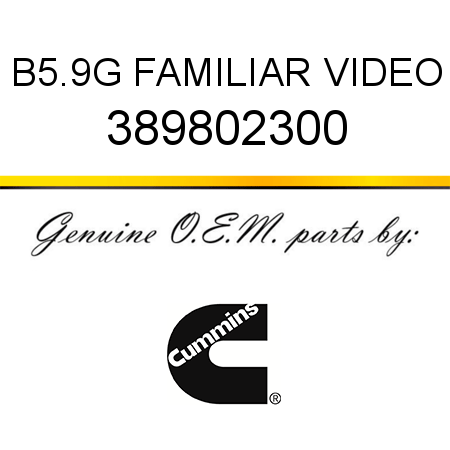 B5.9G FAMILIAR VIDEO 389802300