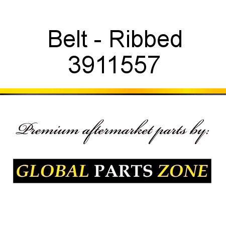 Belt - Ribbed 3911557