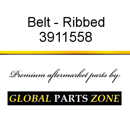 Belt - Ribbed 3911558