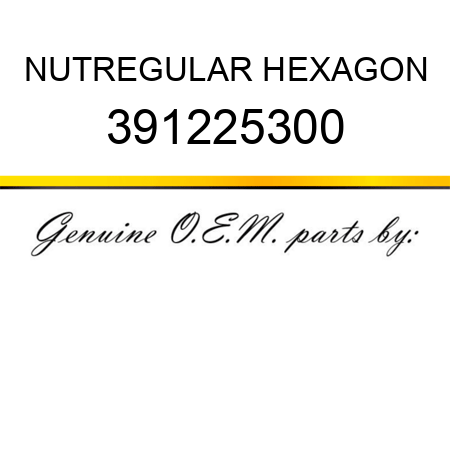 NUT,REGULAR HEXAGON 391225300