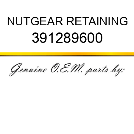 NUT,GEAR RETAINING 391289600