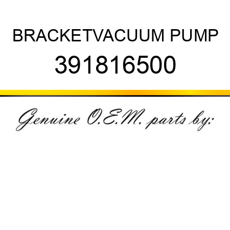 BRACKET,VACUUM PUMP 391816500