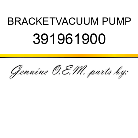 BRACKET,VACUUM PUMP 391961900