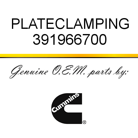 PLATE,CLAMPING 391966700