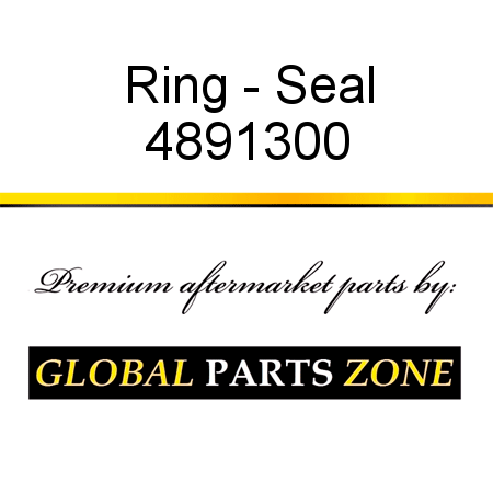 Ring - Seal 4891300