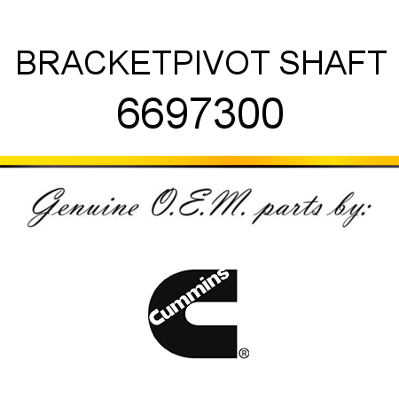 BRACKET,PIVOT SHAFT 6697300