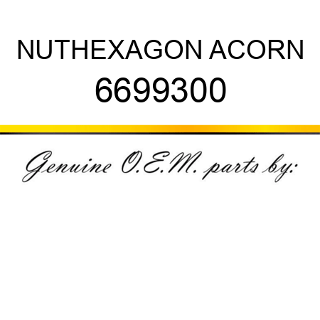 NUT,HEXAGON ACORN 6699300