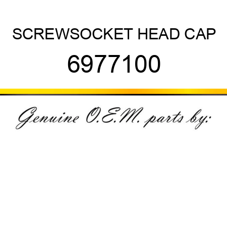 SCREW,SOCKET HEAD CAP 6977100