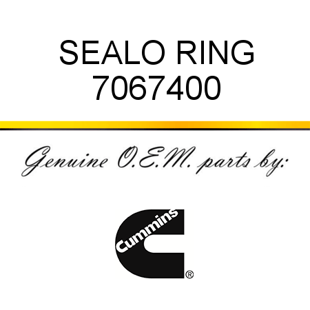 SEAL,O RING 7067400