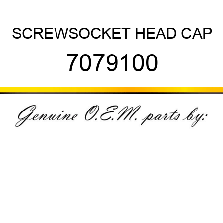 SCREW,SOCKET HEAD CAP 7079100