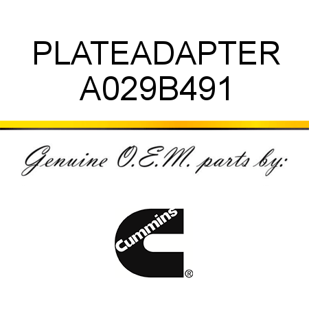 PLATE,ADAPTER A029B491