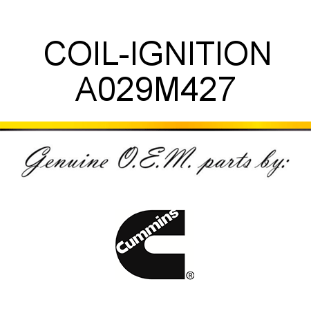 COIL-IGNITION A029M427