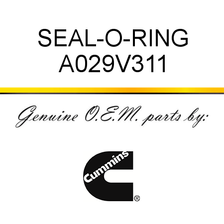 SEAL-O-RING A029V311
