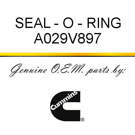 SEAL - O - RING A029V897