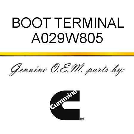 BOOT, TERMINAL A029W805