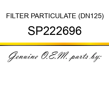 FILTER, PARTICULATE (DN125) SP222696