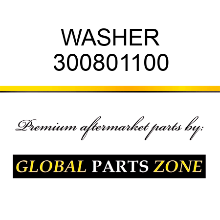 WASHER 300801100