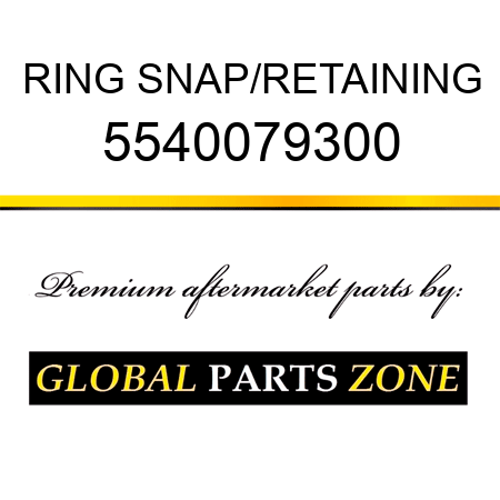 RING, SNAP/RETAINING 5540079300
