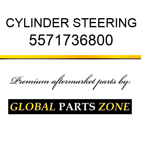 CYLINDER, STEERING 5571736800