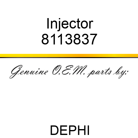 Injector 8113837