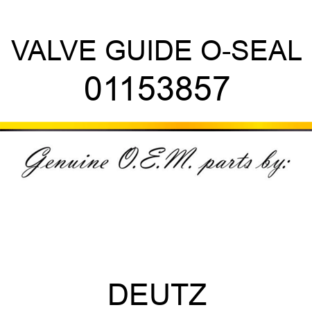VALVE GUIDE O-SEAL 01153857